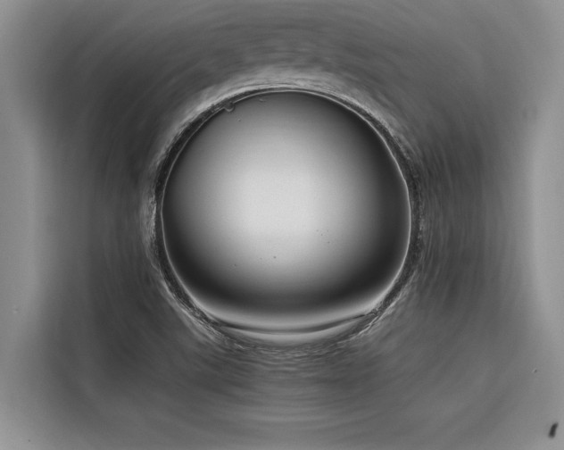 X0000116551507200912101402