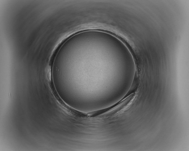 X0000116551509200912101402