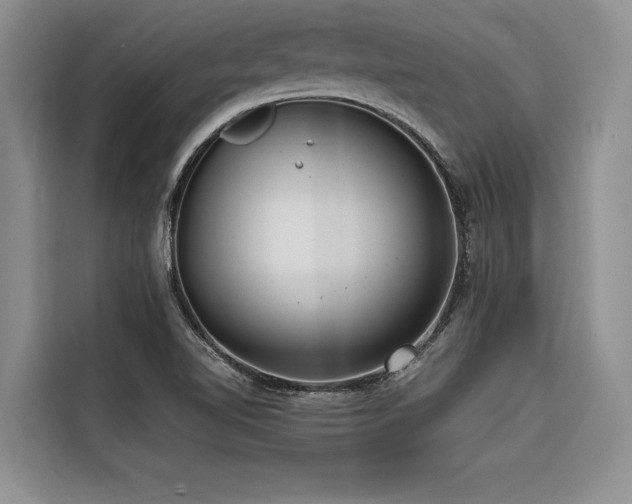 X0000116551510200912101402