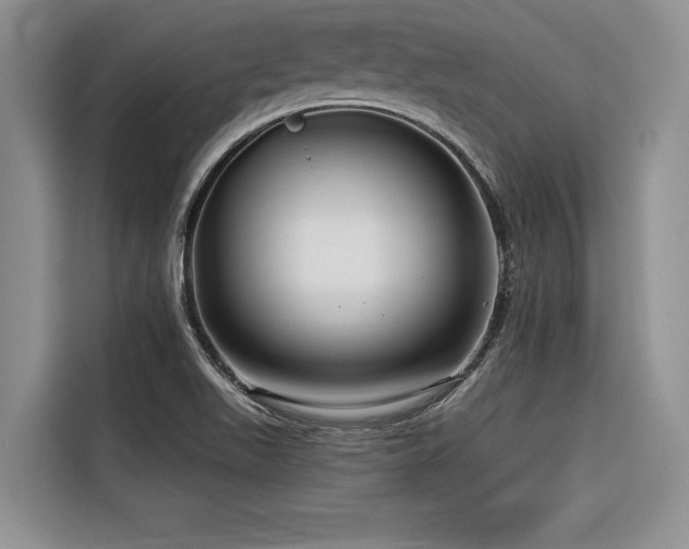 X0000116551511200912101402