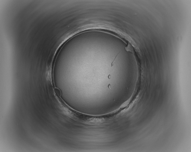 X0000116551513200912101402