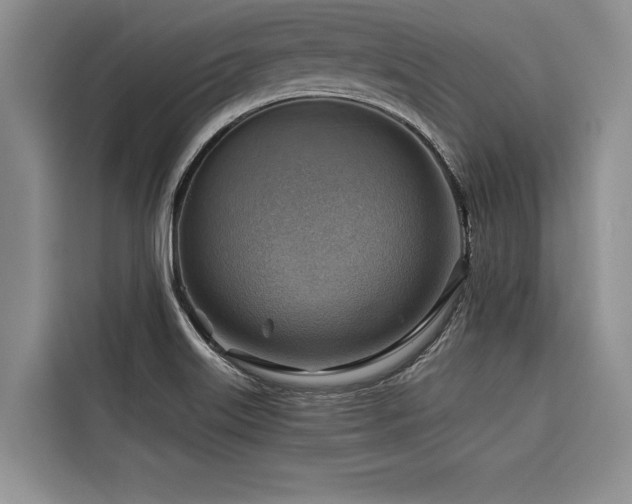 X0000116551515200912101402