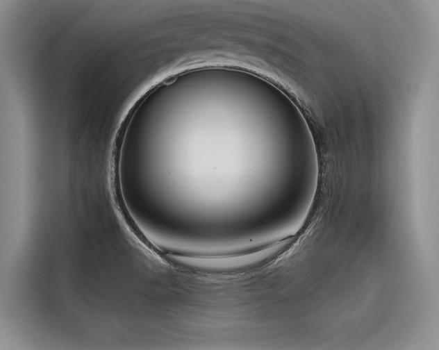 X0000116551518200912101402