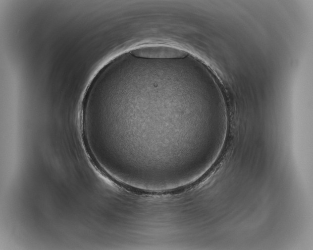 X0000116551519200912101402