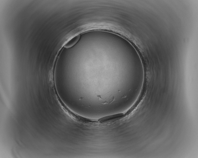 X0000116551521200912101402