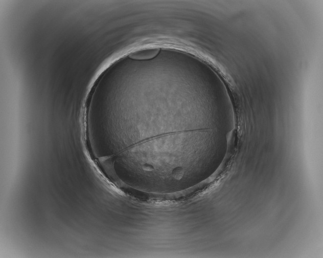 X0000116551522200912101402