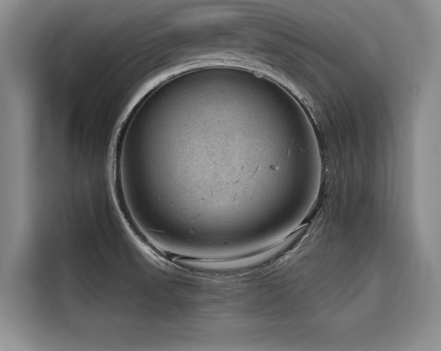 X0000116551523200912101402