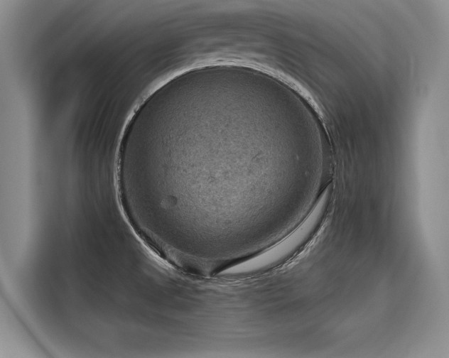 X0000116551525200912101402