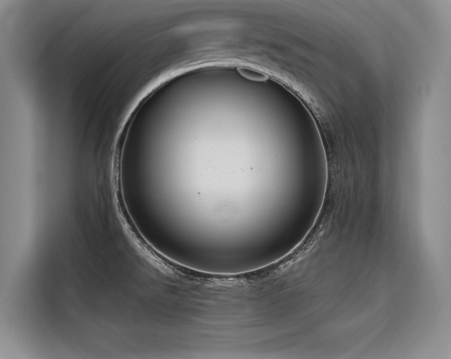 X0000116551526200912101402