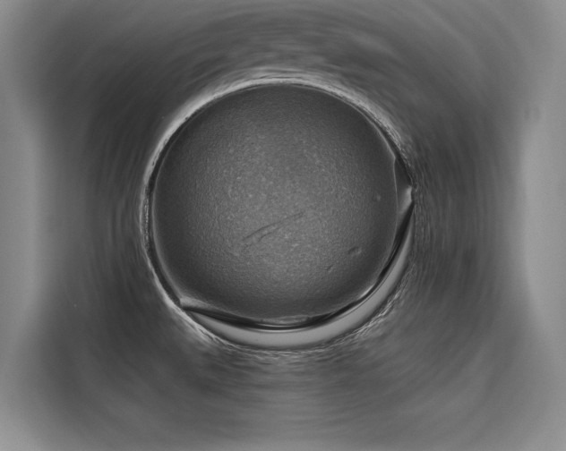 X0000116551527200912101402