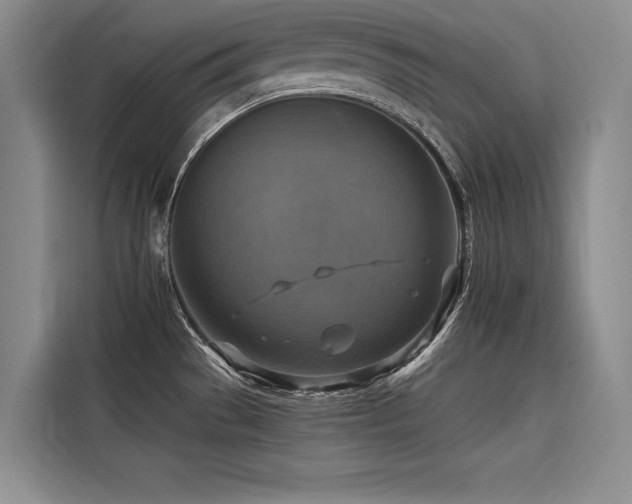 X0000116551529200912101402