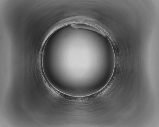 X0000116551530200912101402