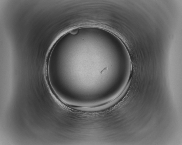 X0000116551531200912101402