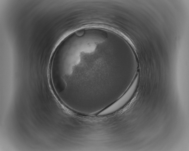 X0000116551533200912101402