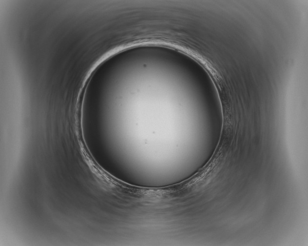 X0000116551534200912101402