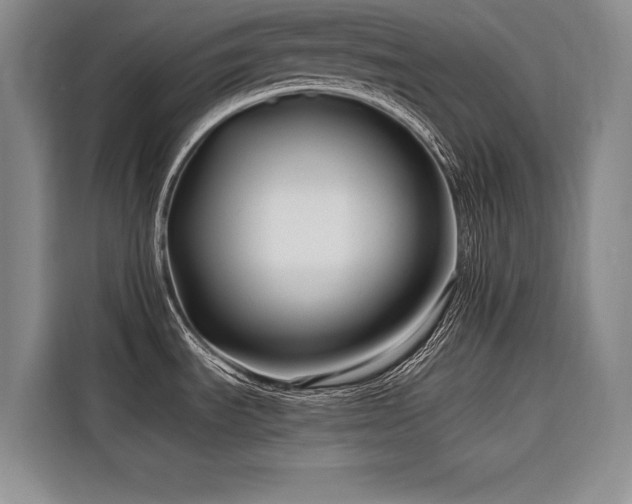 X0000116551535200912101402