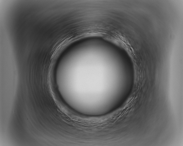 X0000116550001200912171358