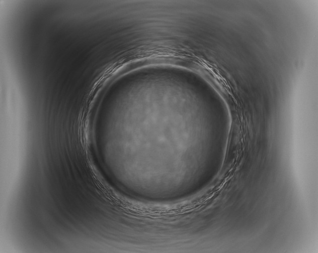 X0000116550002200912171358