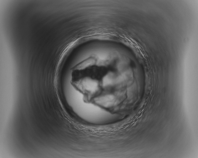 X0000116550003200912171358