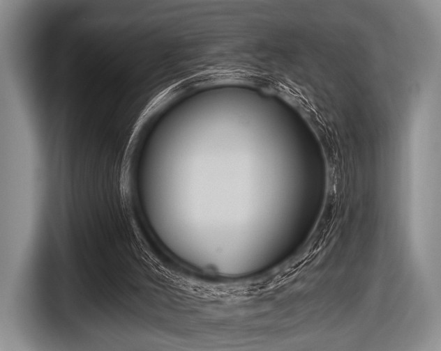 X0000116550004200912171358