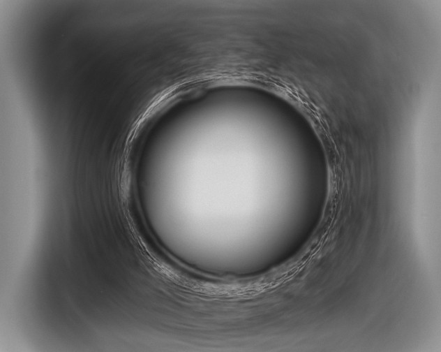 X0000116550005200912171358