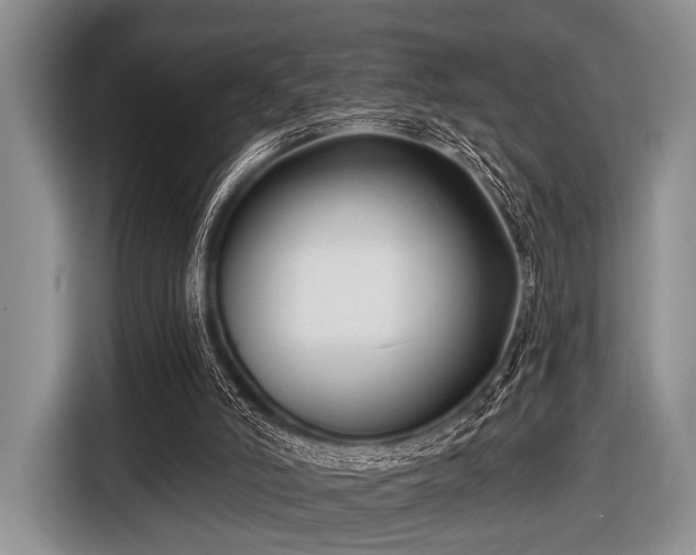 X0000116550006200912171358