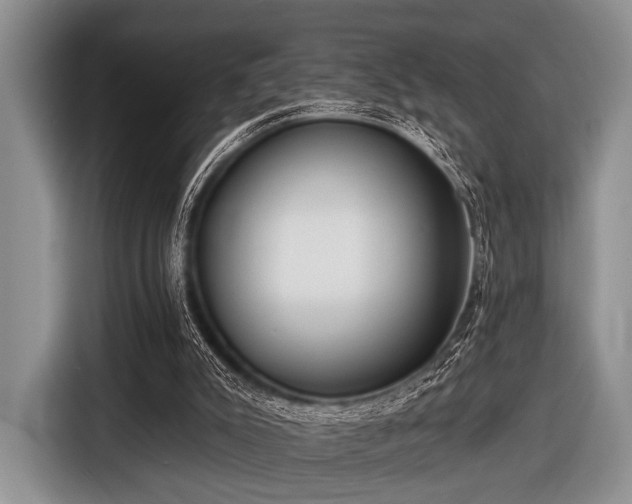 X0000116550007200912171358