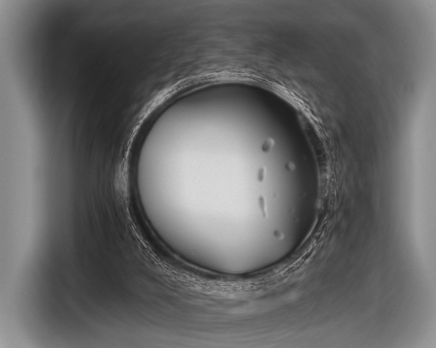 X0000116550008200912171358