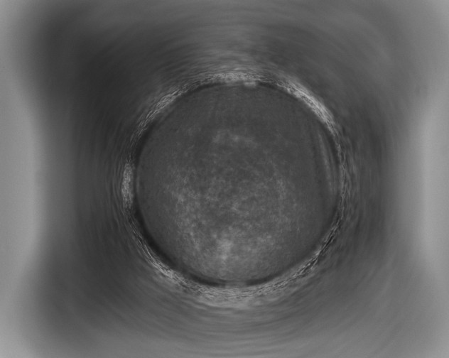 X0000116550009200912171358