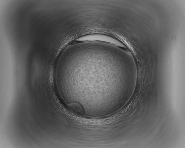 X0000116550010200912171358