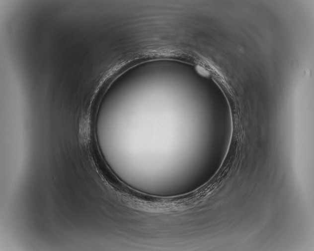 X0000116550012200912171358