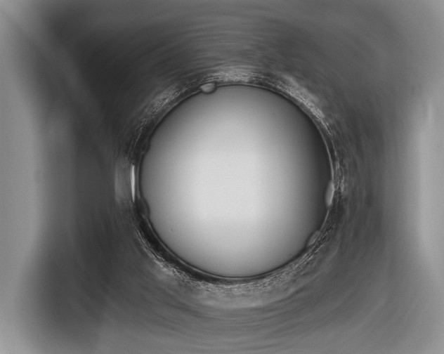 X0000116550013200912171358