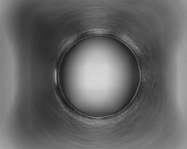 X0000116550014200912171358