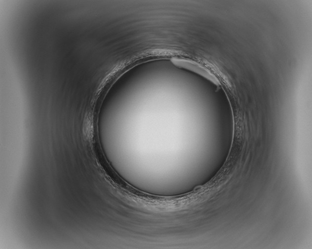 X0000116550015200912171358