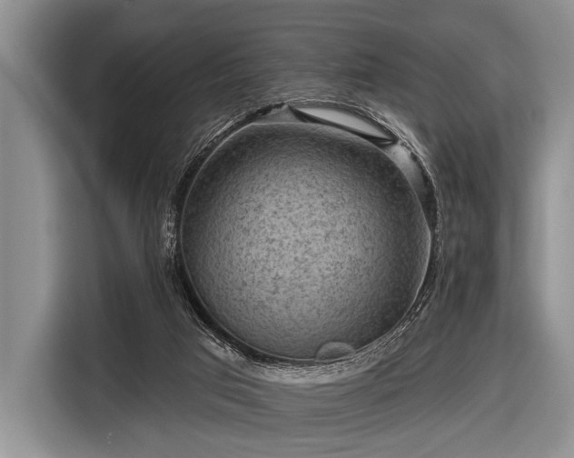 X0000116550017200912171358