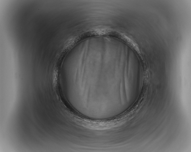 X0000116550018200912171358