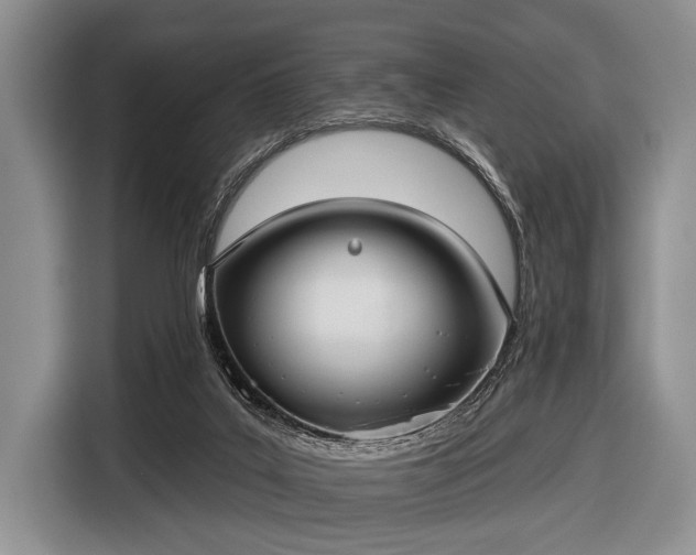 X0000116550019200912171358