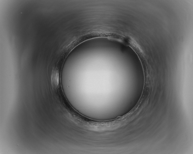 X0000116550021200912171358