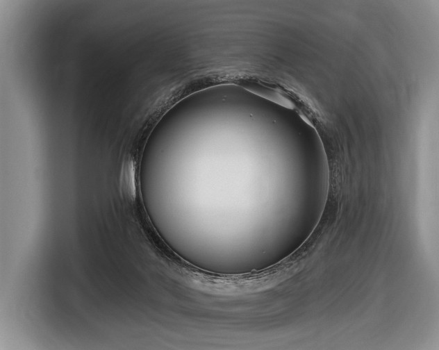 X0000116550022200912171358