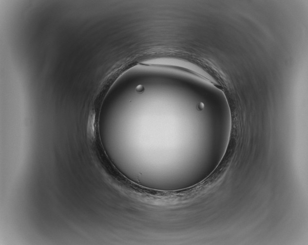 X0000116550024200912171358