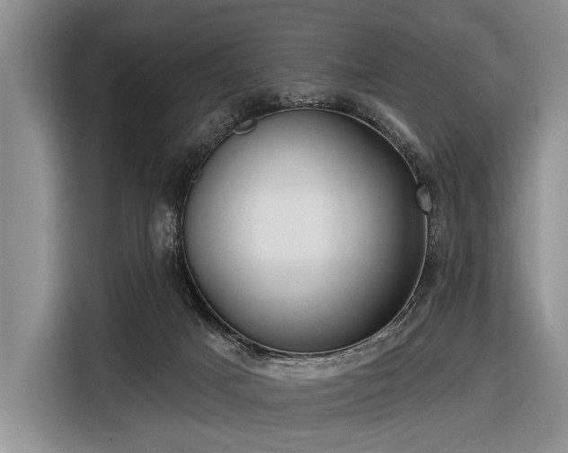 X0000116550025200912171358