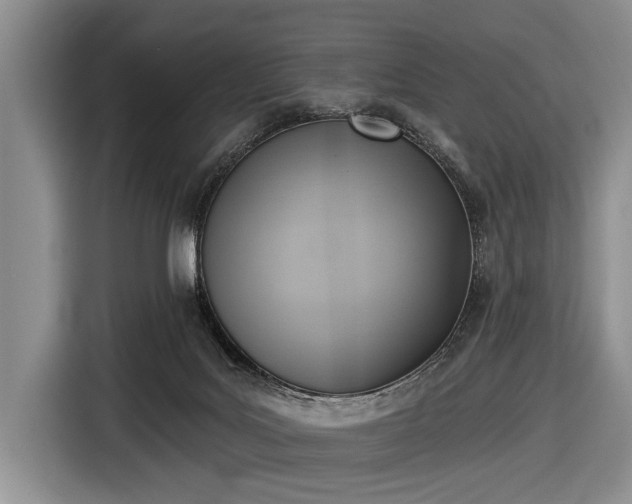 X0000116550027200912171358