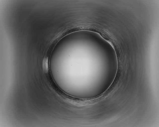 X0000116550028200912171358