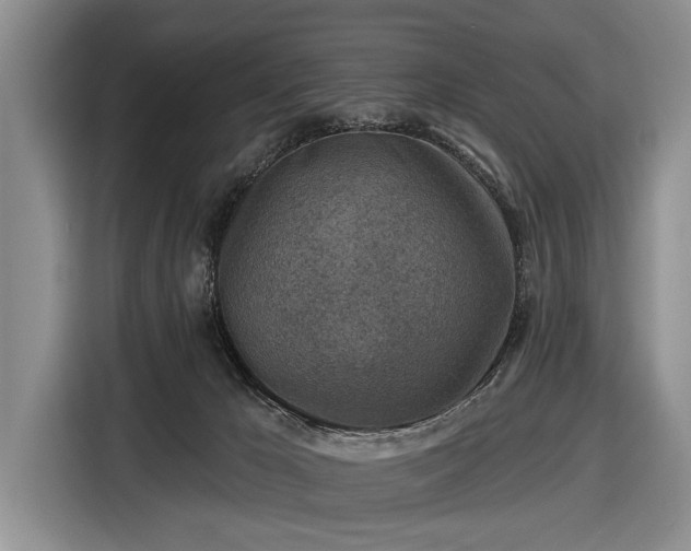 X0000116550029200912171358