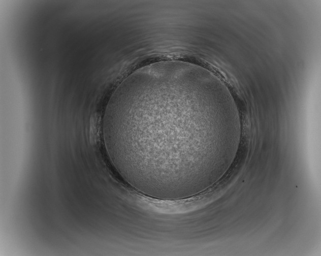 X0000116550030200912171358