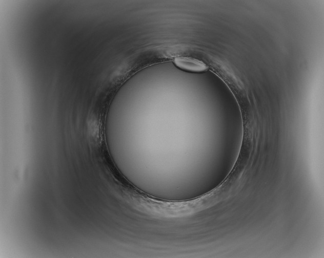 X0000116550031200912171358