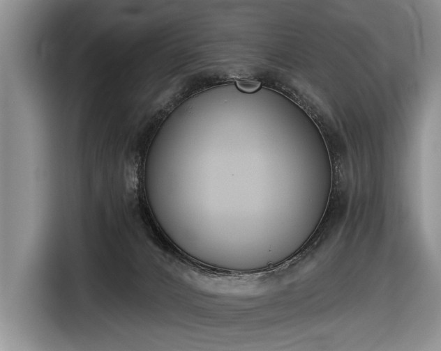 X0000116550032200912171358