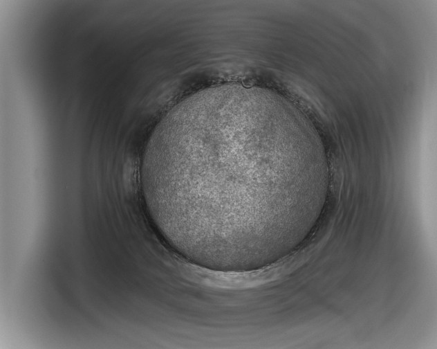 X0000116550034200912171358