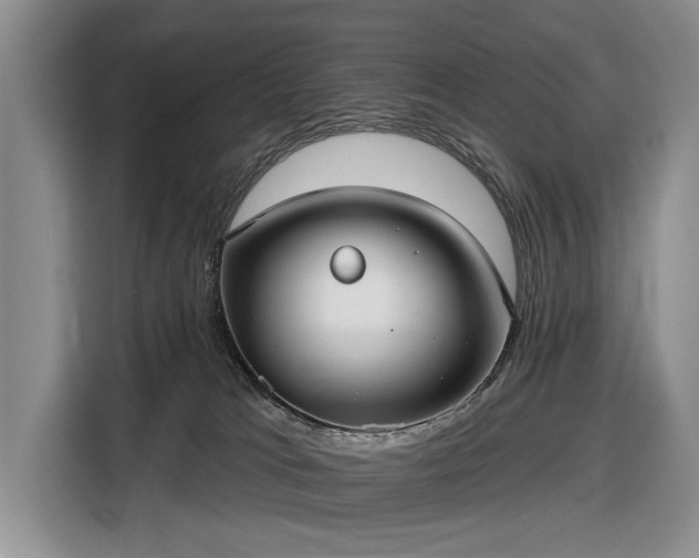 X0000116550037200912171358