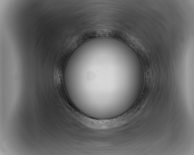 X0000116550038200912171358